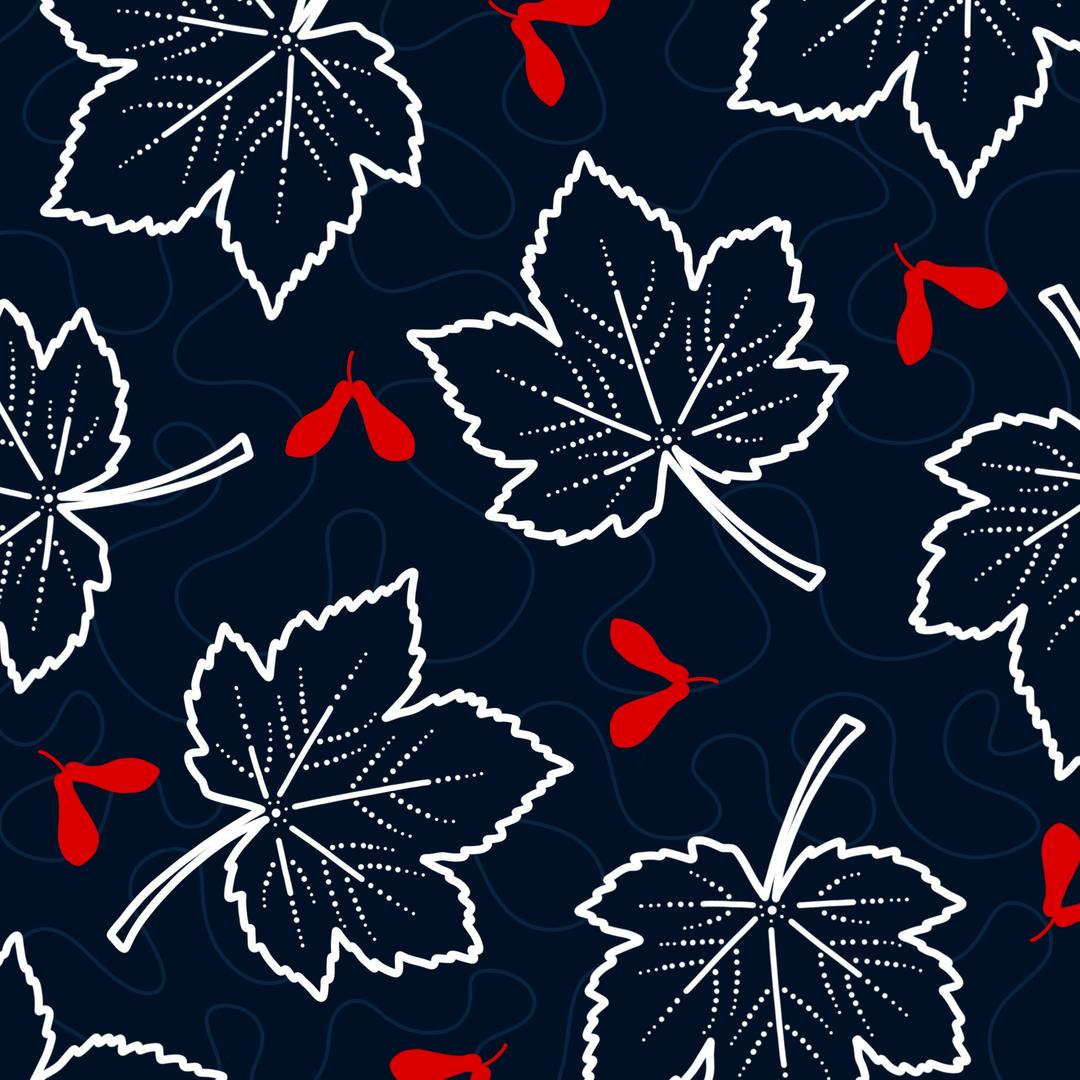 Ahorn Blätter und Früchte als digitale Zeichnung