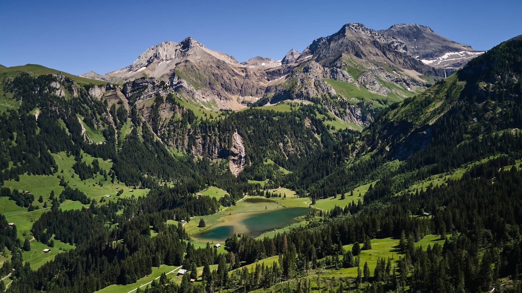 Entspannen in der Natur unter Bäumen